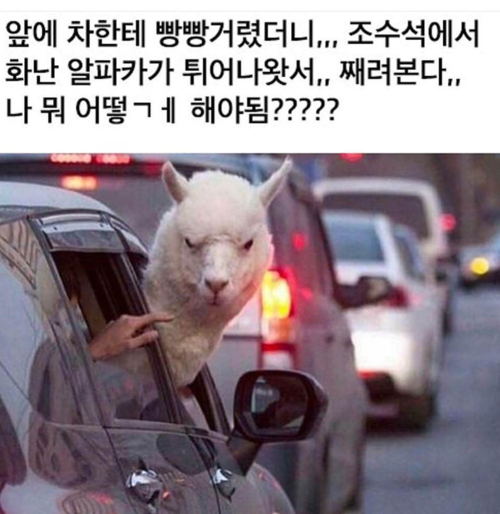 17372681097148.jpeg