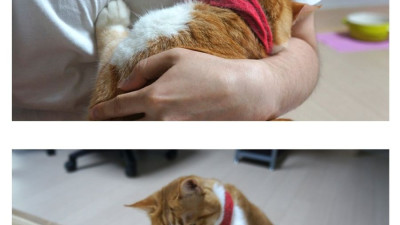 Image 499027