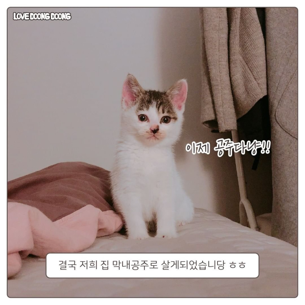 17438657379782.jpeg