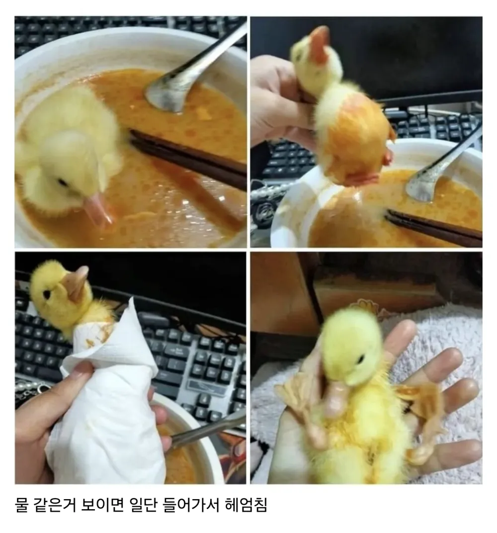 17458535719253.webp