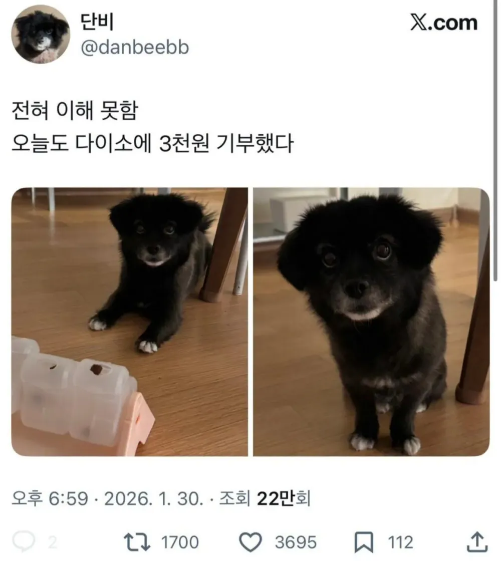 17701389608111.webp